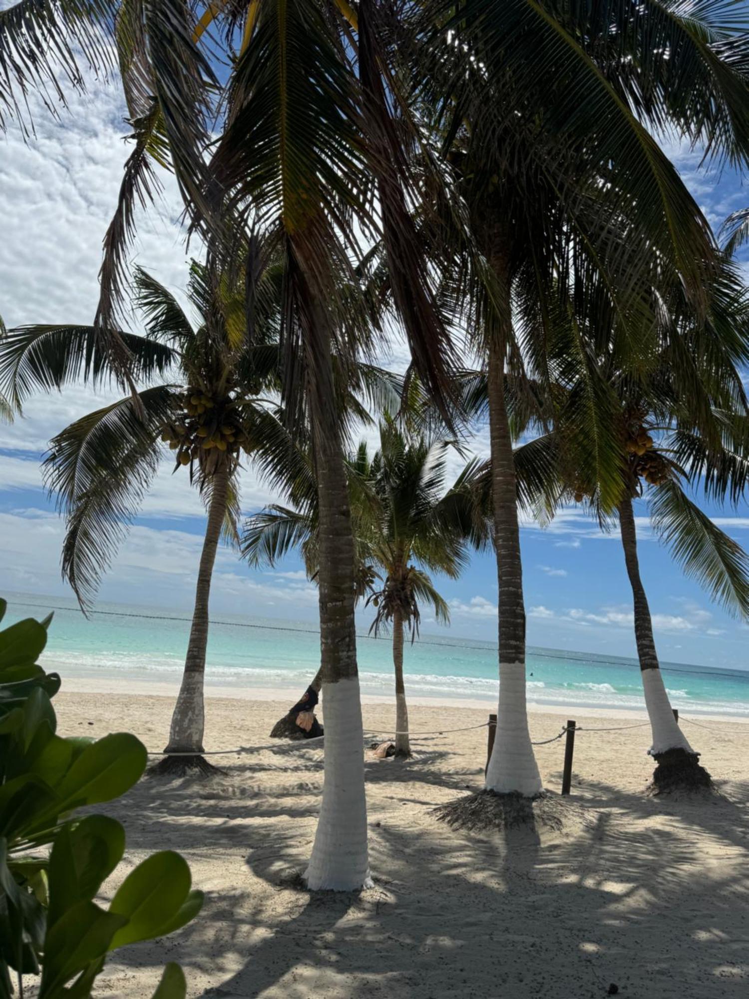 El Paraiso Hotel Tulum Exterior photo